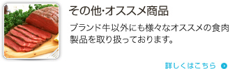 その他・オススメ商品