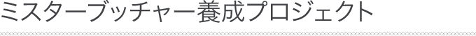 ご利用ガイド・ご利用事例